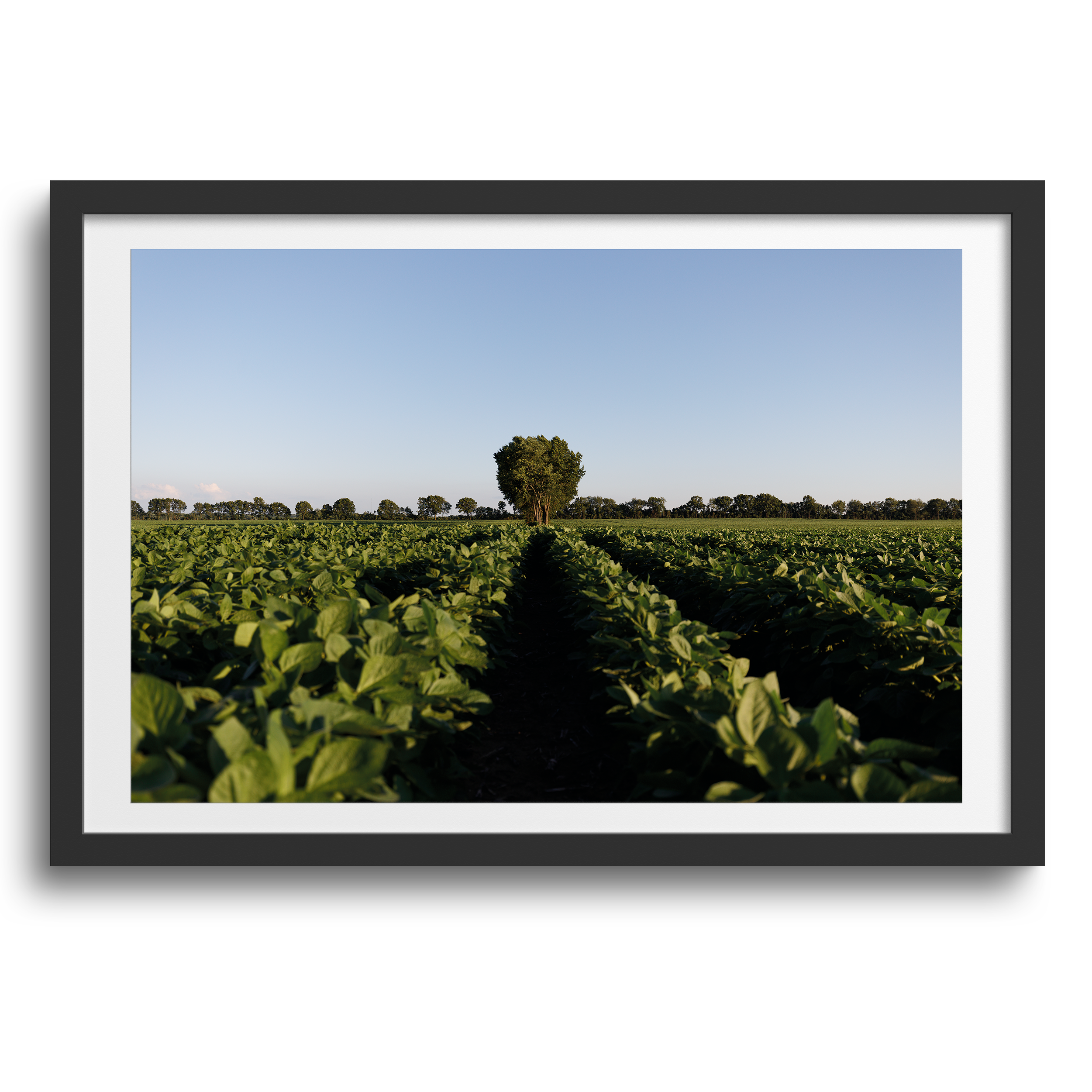 Three Rivers, Michigan