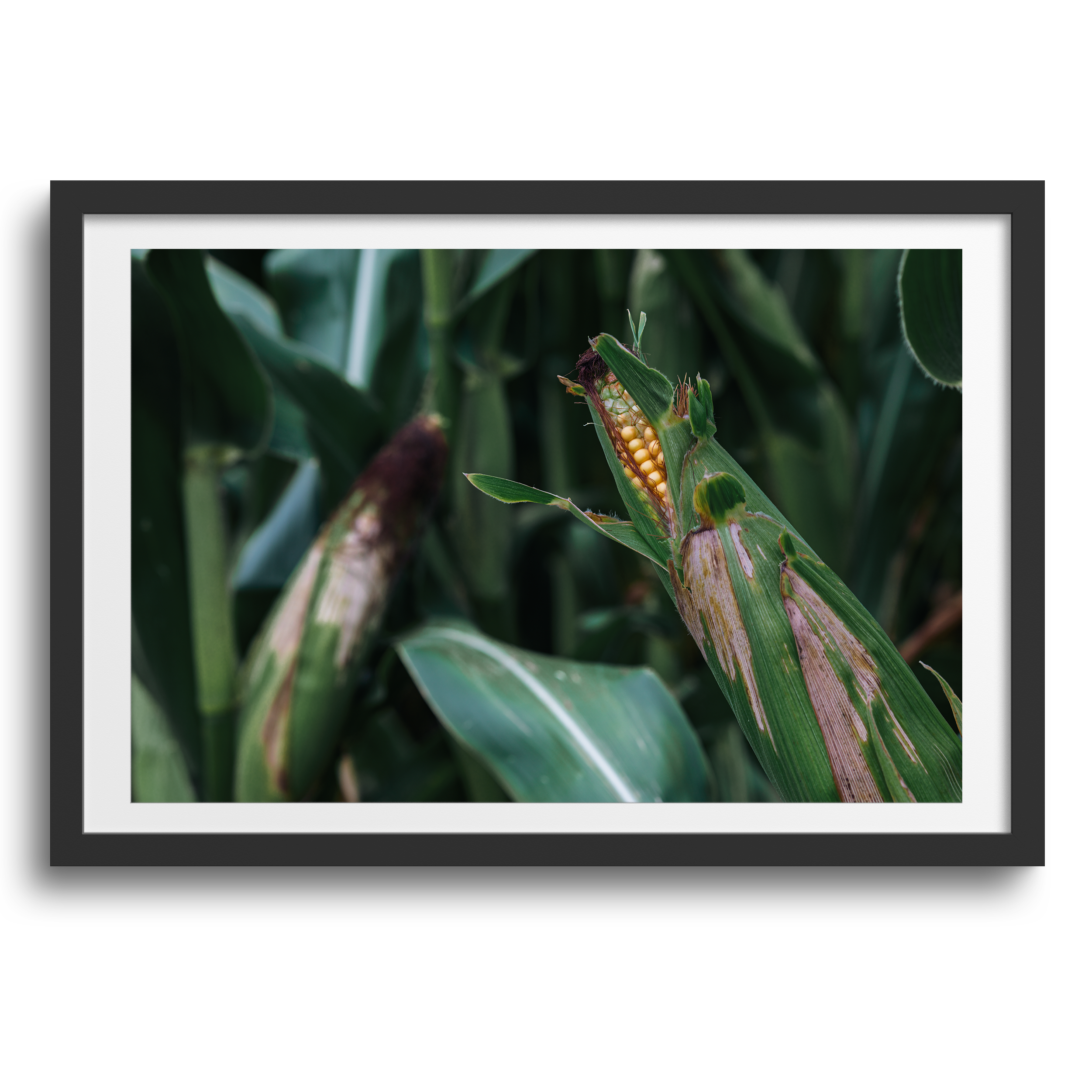 Tre floder, Michigan