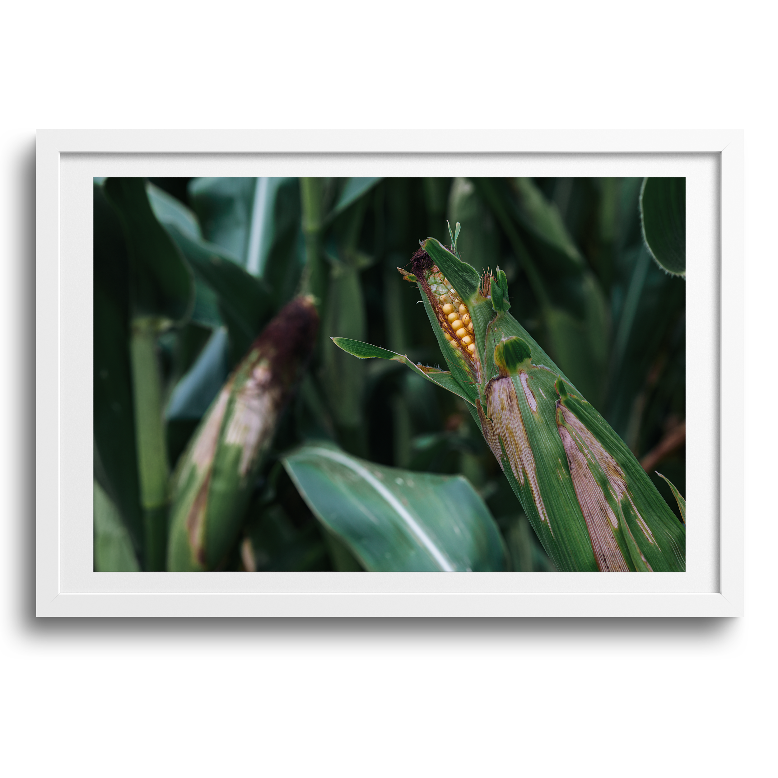 Tre floder, Michigan