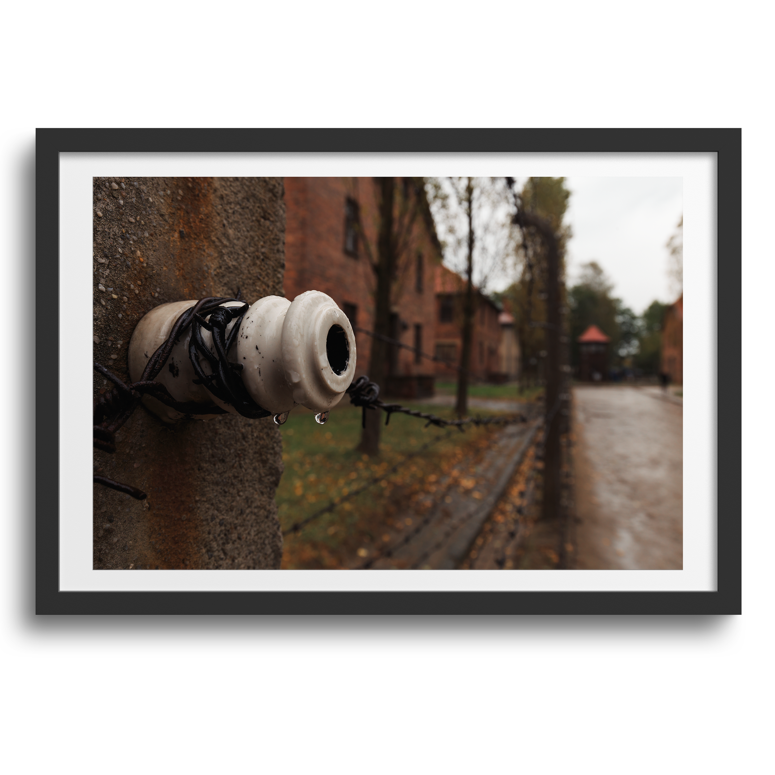 Auschwitz-Birkenau • Oświęcim, Polen