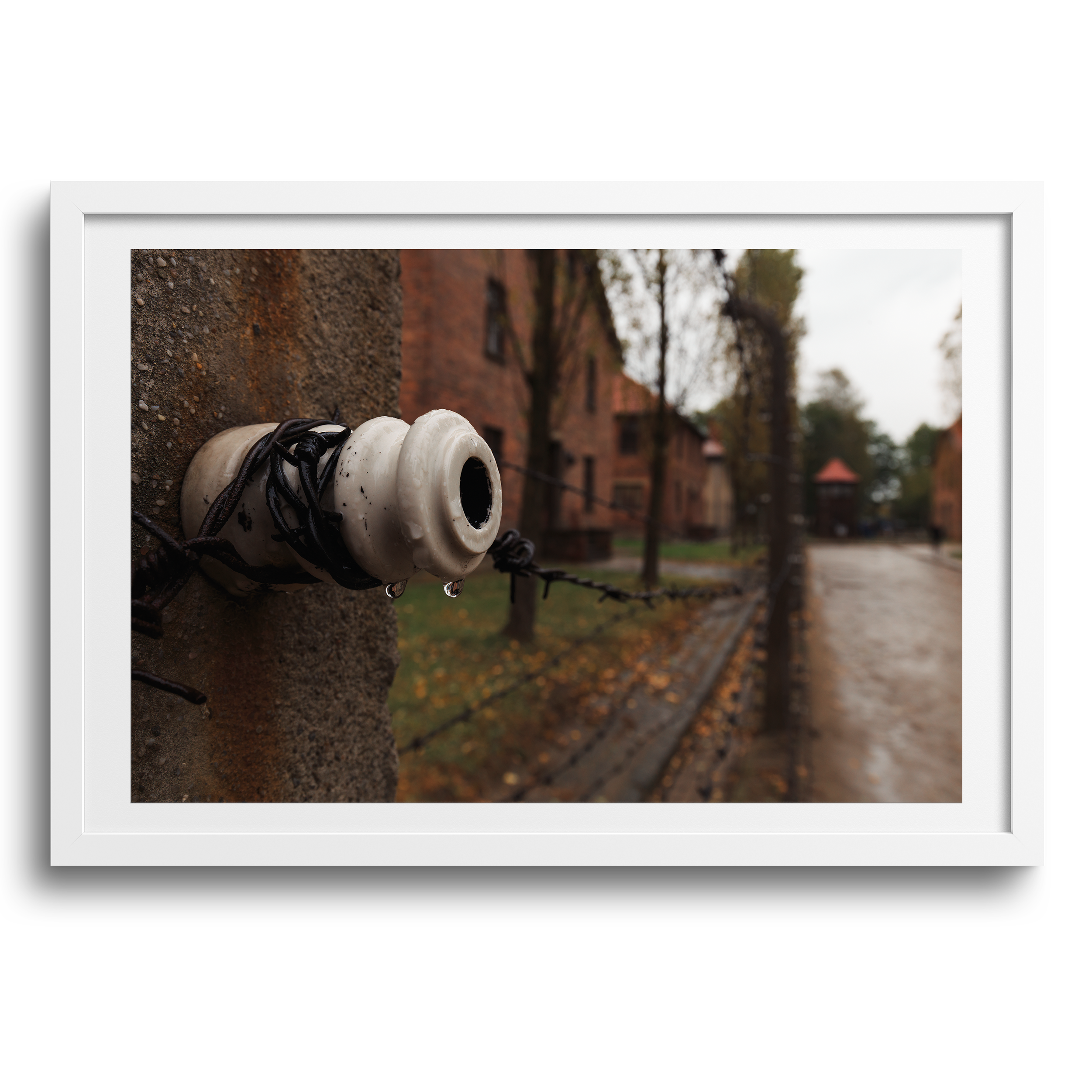 Auschwitz-Birkenau • Oświęcim, Polen