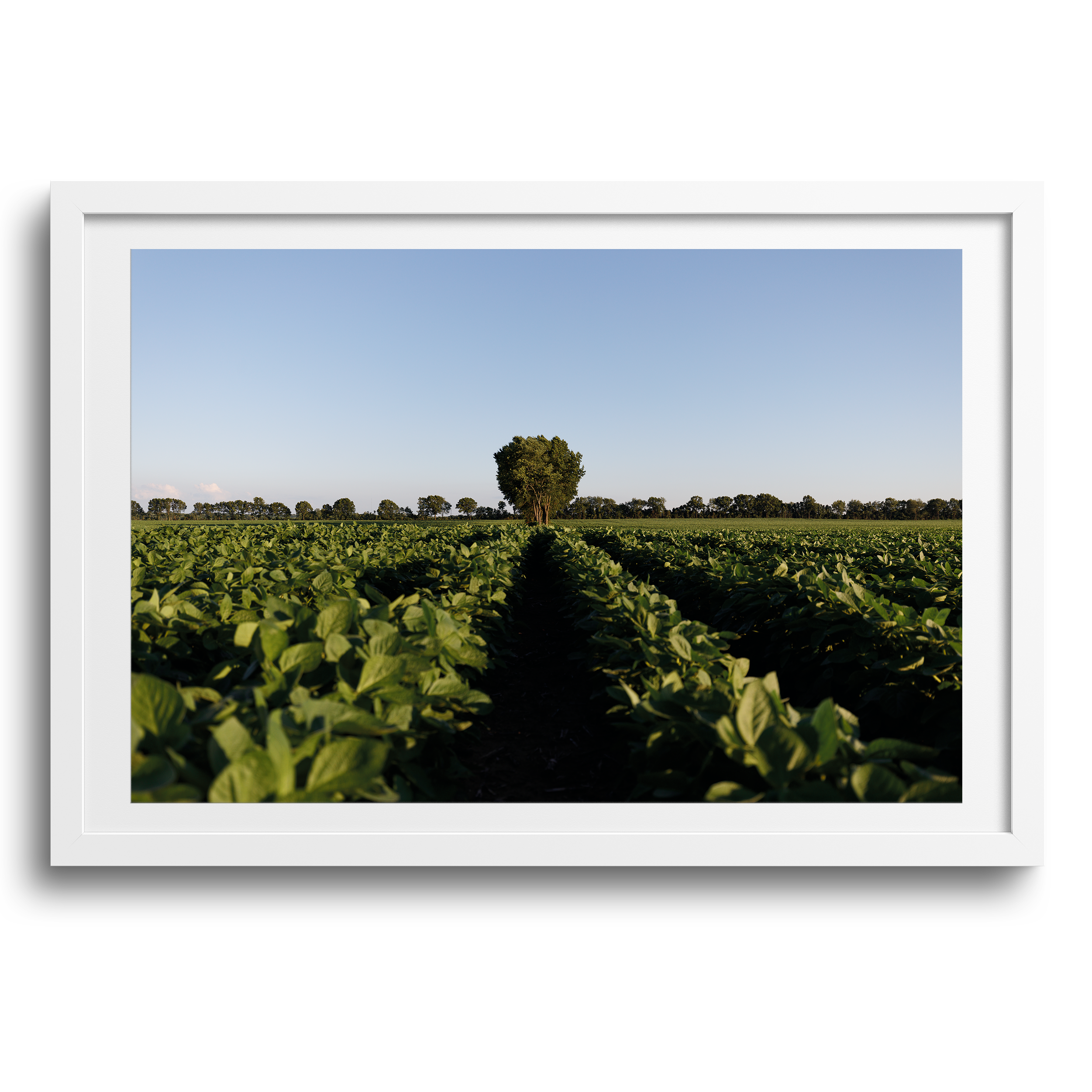 Three Rivers, Michigan