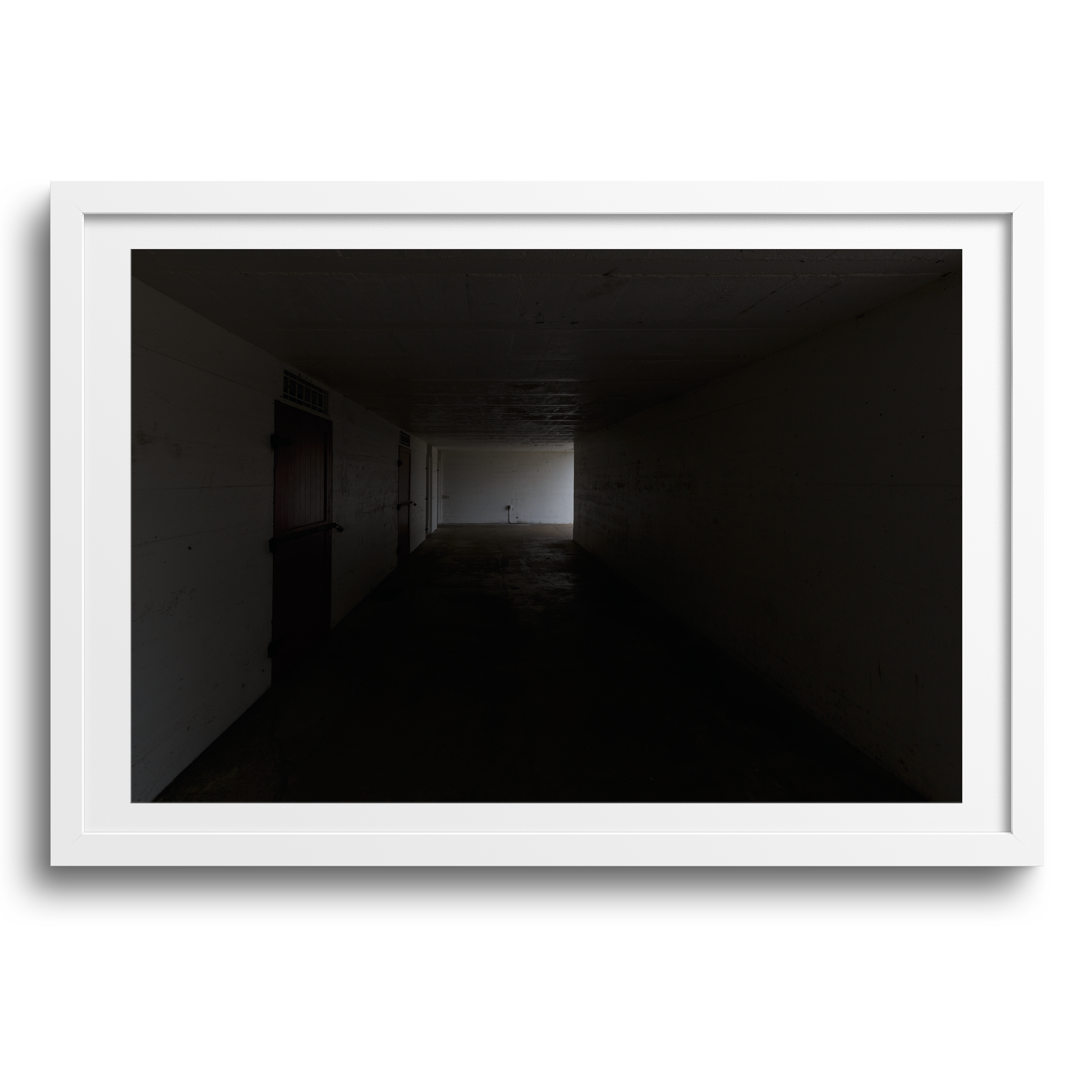 Fort Del Soto Park •Tierra Verde, Florida