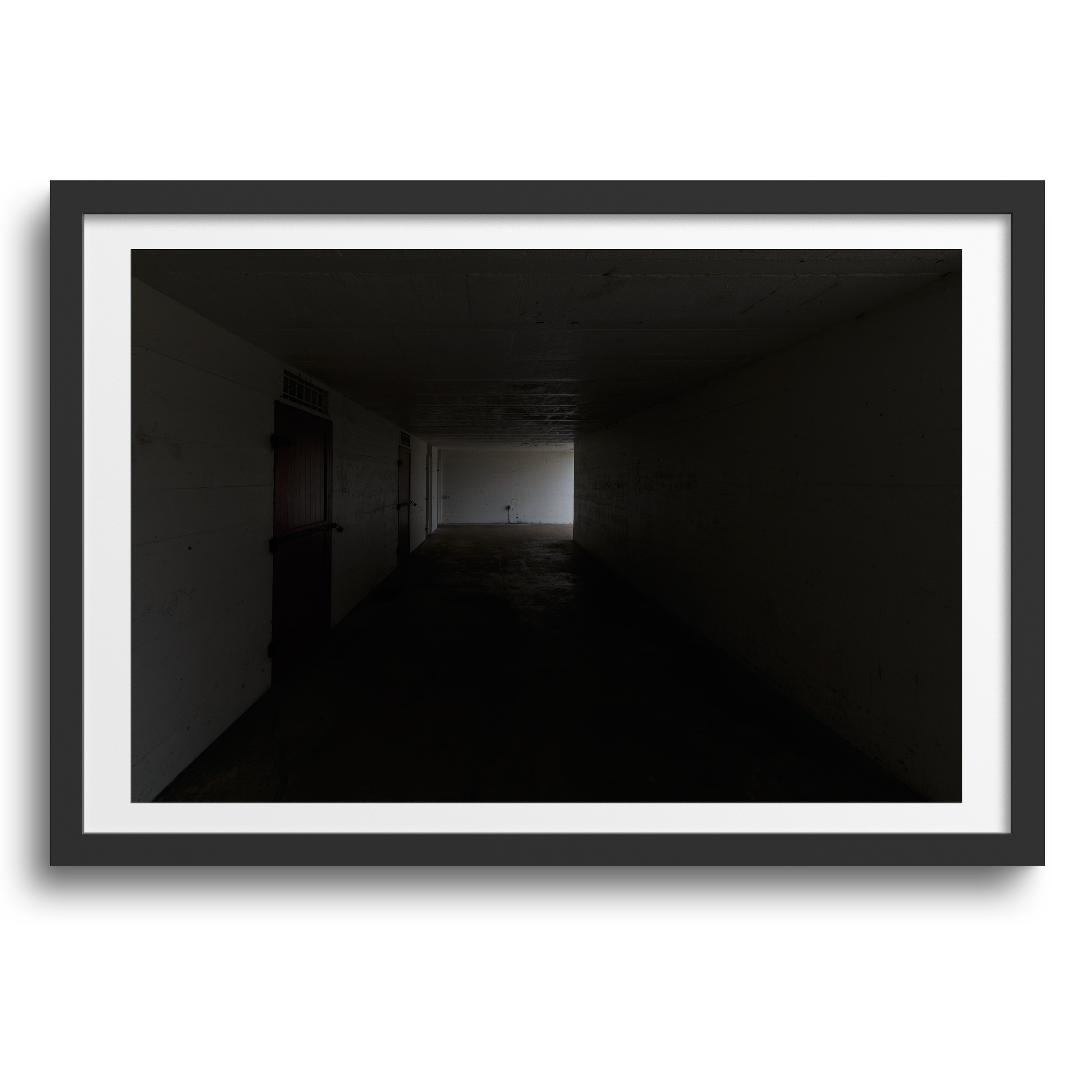 Fort Del Soto Park •Tierra Verde, Florida