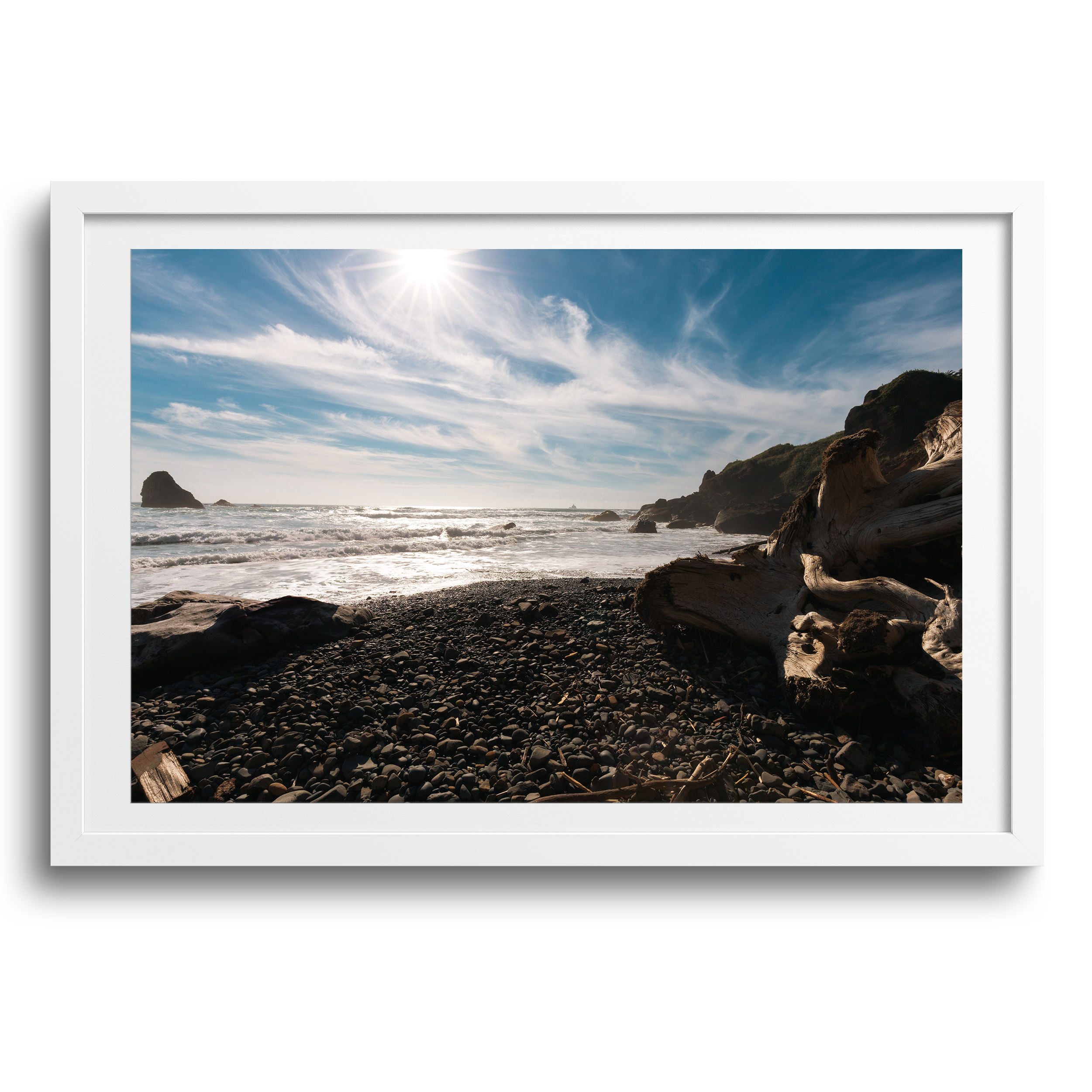 Ecloa State Park • Cannon Beach, Oregon