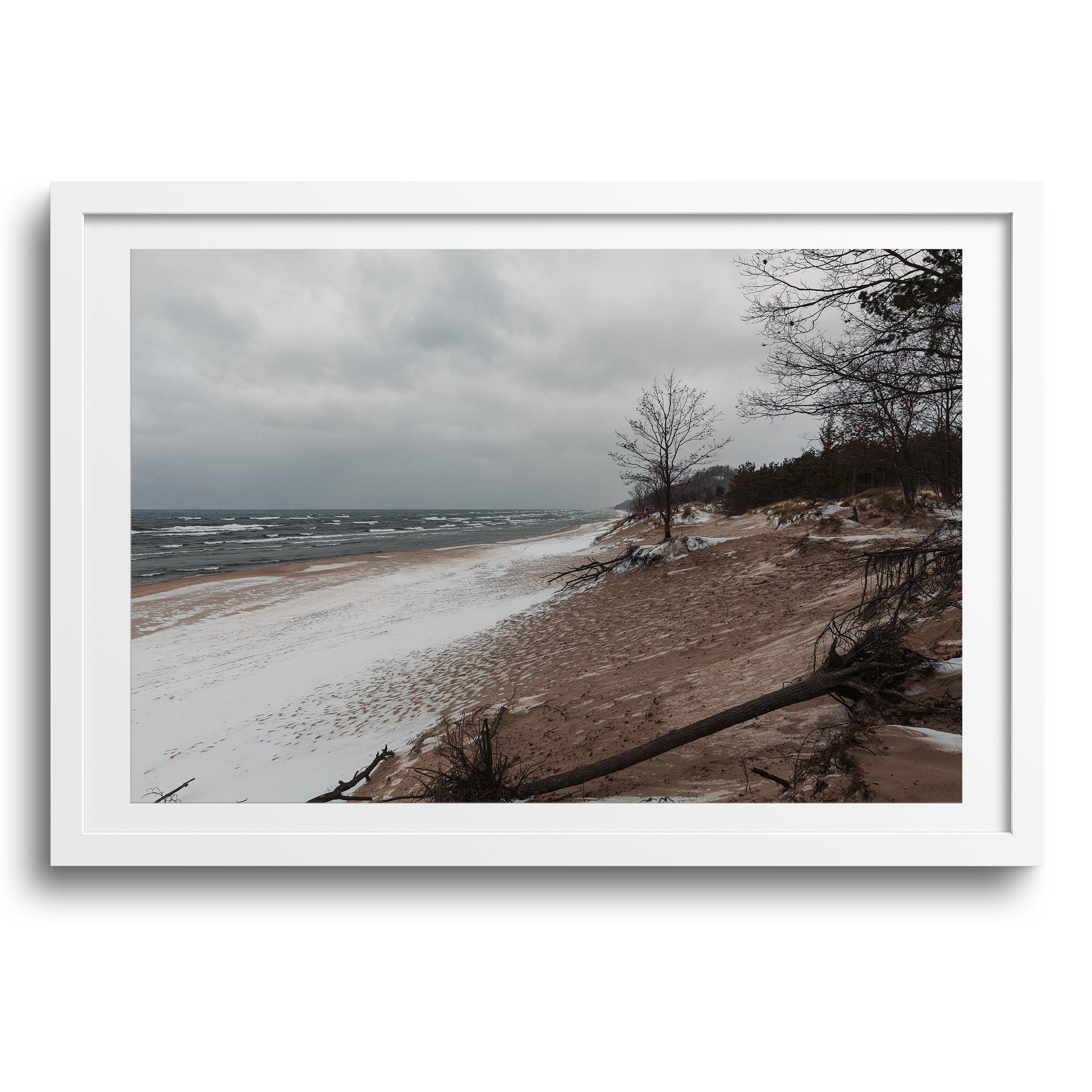 Saugatuck Dunes State Park • Holland, Michigan